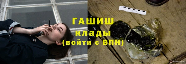 ПСИЛОЦИБИНОВЫЕ ГРИБЫ Михайлов