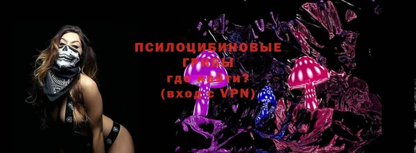 ПСИЛОЦИБИНОВЫЕ ГРИБЫ Михайлов
