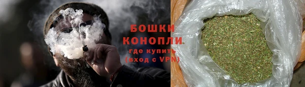 ПСИЛОЦИБИНОВЫЕ ГРИБЫ Михайлов