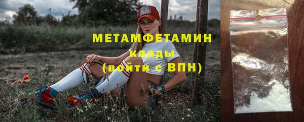 ПСИЛОЦИБИНОВЫЕ ГРИБЫ Михайлов
