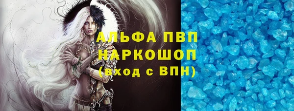 ПСИЛОЦИБИНОВЫЕ ГРИБЫ Михайлов