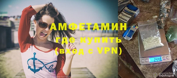 ПСИЛОЦИБИНОВЫЕ ГРИБЫ Михайлов