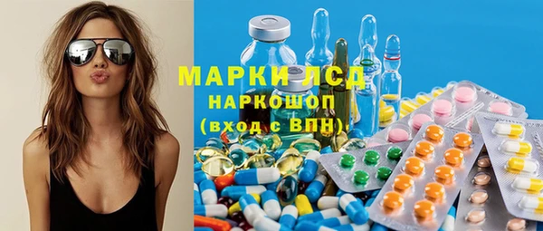 ПСИЛОЦИБИНОВЫЕ ГРИБЫ Михайлов