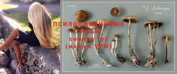 ПСИЛОЦИБИНОВЫЕ ГРИБЫ Михайлов