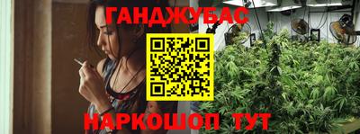гидра Дубна