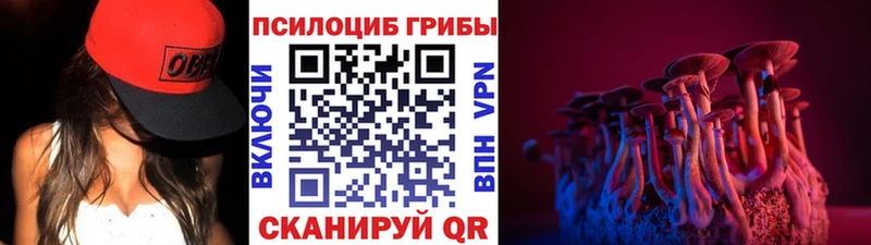 hydra ONION  Ивантеевка  Псилоцибиновые грибы прущие грибы 