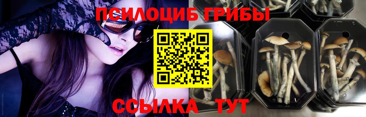 Псилоцибиновые грибы мухоморы Ивантеевка