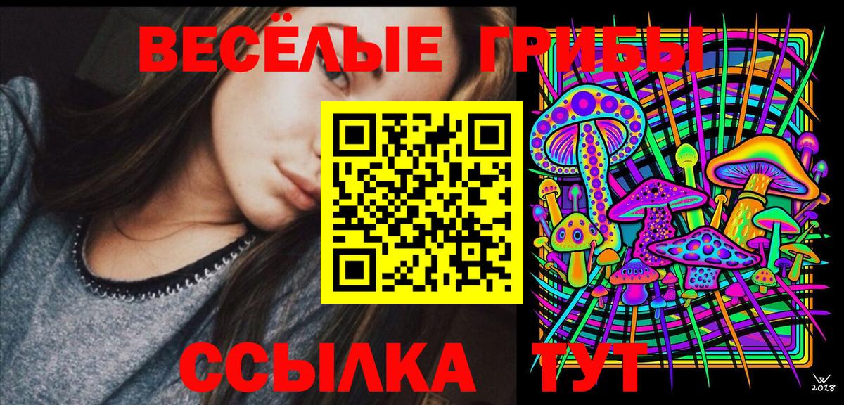 Галлюциногенные грибы Psilocybine cubensis  цены наркотик  Ивантеевка  Вход с VPN 
